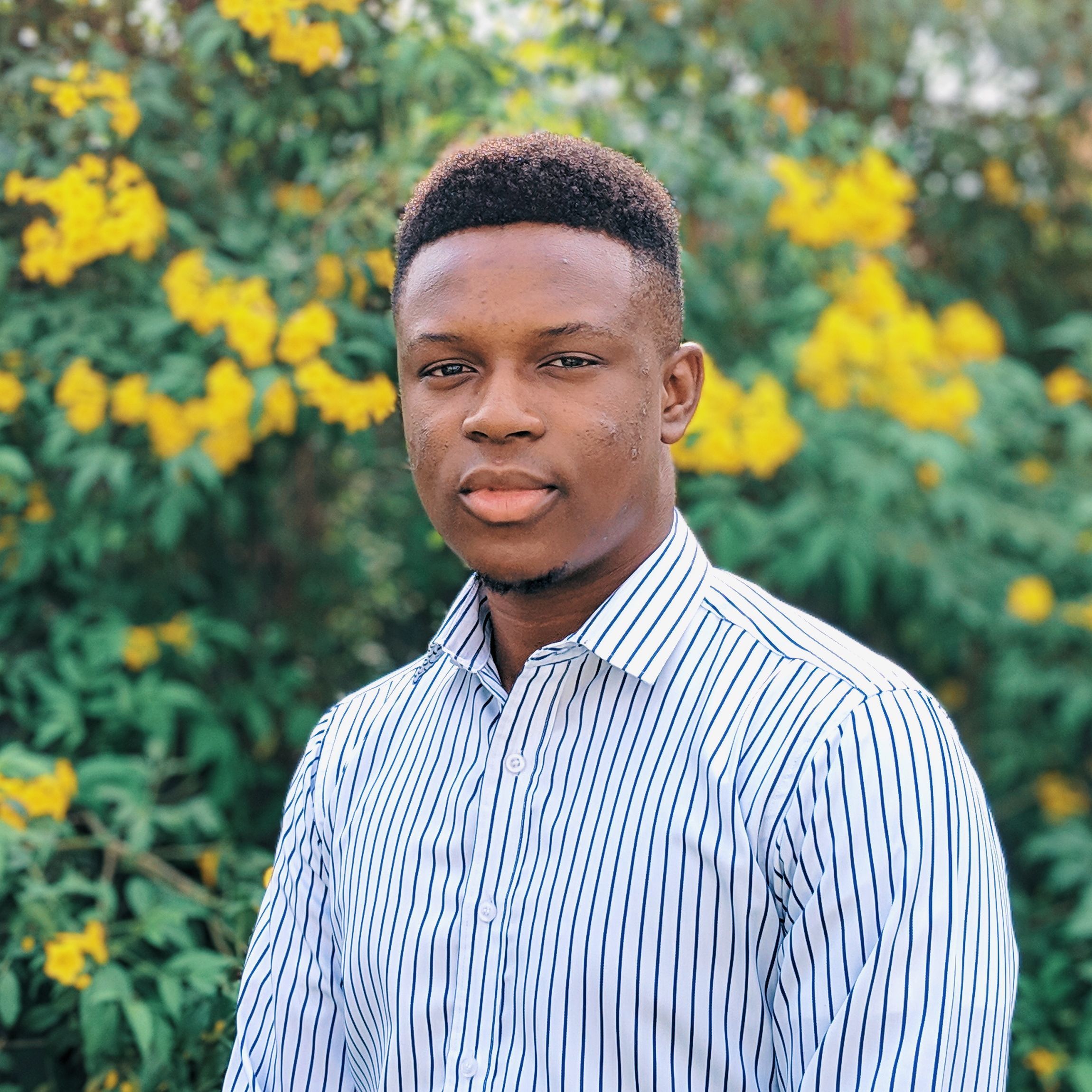 Dipo Omobomi